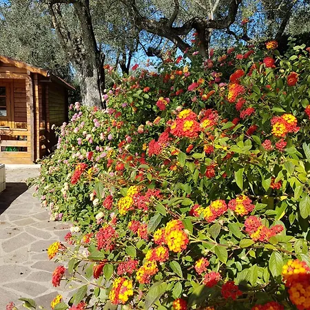 Apartamento La Costareccia *